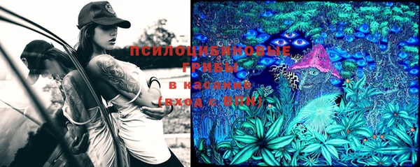 гашиш Новозыбков