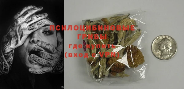 ПСИЛОЦИБИНОВЫЕ ГРИБЫ Абдулино