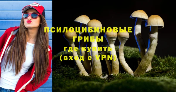 гашиш Новозыбков