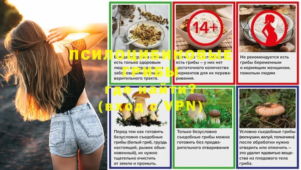 ПСИЛОЦИБИНОВЫЕ ГРИБЫ Абдулино
