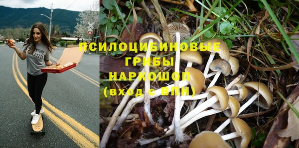 не бодяженный Абаза